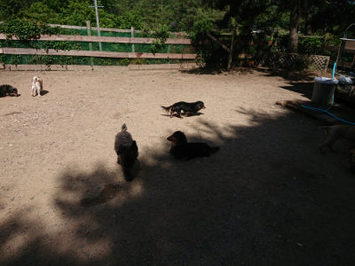 f:id:roukenhome-ann:20190613142249j:plain