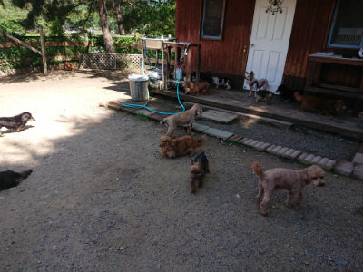 f:id:roukenhome-ann:20190613142304j:plain
