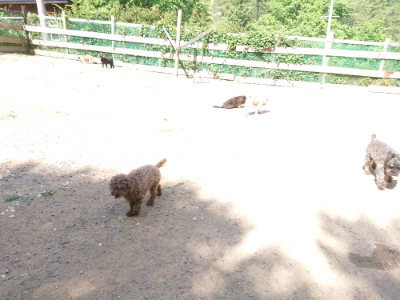 f:id:roukenhome-ann:20190613142317j:plain