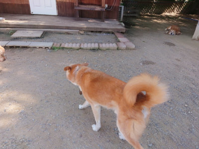 f:id:roukenhome-ann:20190613142346j:plain
