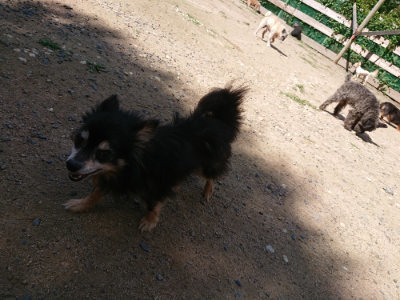 f:id:roukenhome-ann:20190613142401j:plain