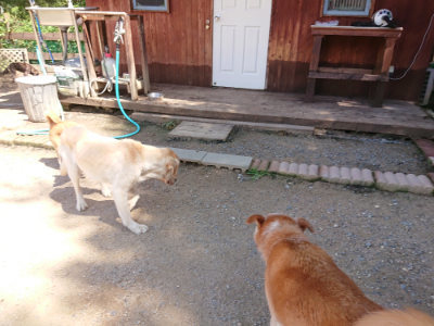 f:id:roukenhome-ann:20190613142405j:plain