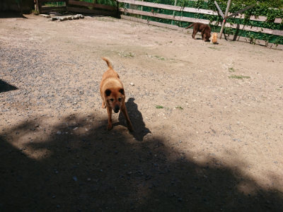 f:id:roukenhome-ann:20190613142424j:plain