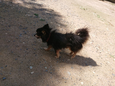 f:id:roukenhome-ann:20190613142438j:plain