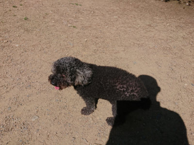 f:id:roukenhome-ann:20190613142525j:plain