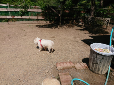 f:id:roukenhome-ann:20190613142631j:plain