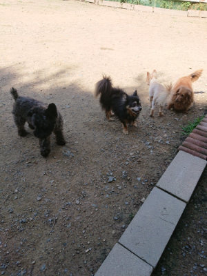 f:id:roukenhome-ann:20190613142640j:plain