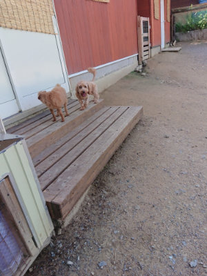 f:id:roukenhome-ann:20190613142644j:plain