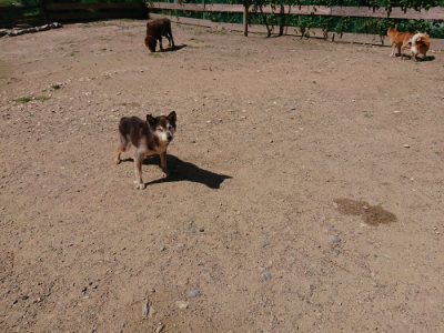 f:id:roukenhome-ann:20190613142728j:plain