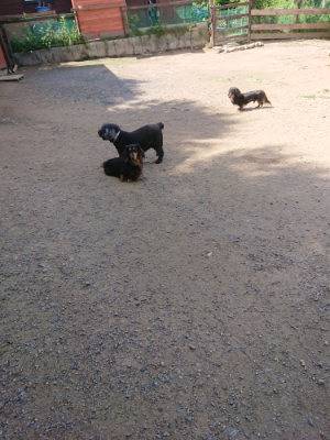 f:id:roukenhome-ann:20190613142743j:plain