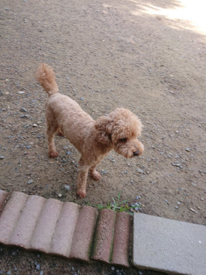 f:id:roukenhome-ann:20190613142757j:plain