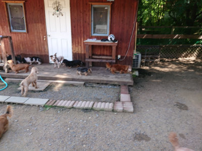 f:id:roukenhome-ann:20190613142803j:plain