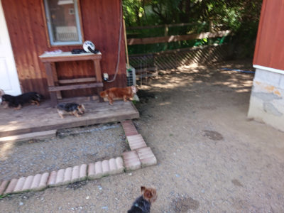 f:id:roukenhome-ann:20190613142822j:plain