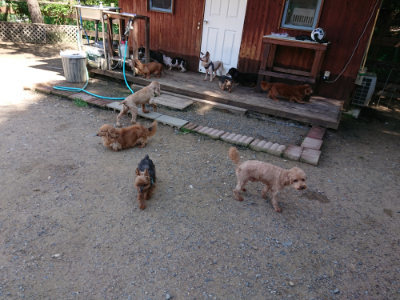 f:id:roukenhome-ann:20190613142856j:plain