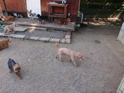 f:id:roukenhome-ann:20190613142916j:plain