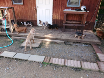 f:id:roukenhome-ann:20190613143010j:plain