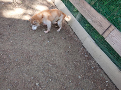 f:id:roukenhome-ann:20190613143020j:plain