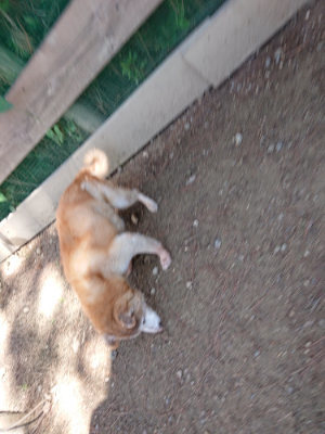 f:id:roukenhome-ann:20190613143026j:plain