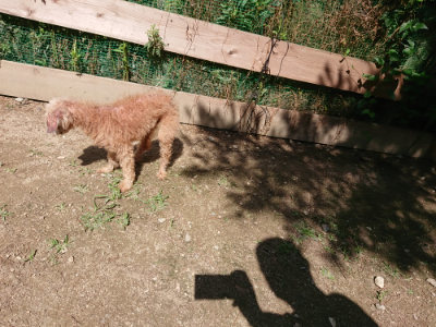 f:id:roukenhome-ann:20190613143129j:plain