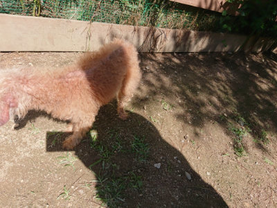 f:id:roukenhome-ann:20190613143146j:plain