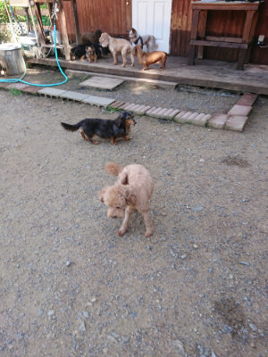 f:id:roukenhome-ann:20190613143203j:plain
