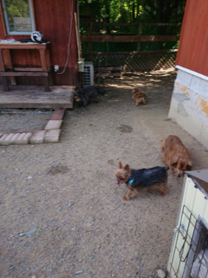 f:id:roukenhome-ann:20190613143222j:plain