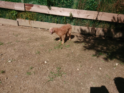 f:id:roukenhome-ann:20190613143227j:plain