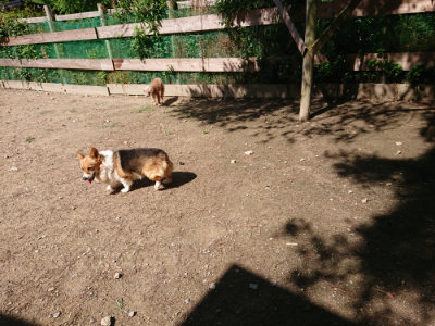 f:id:roukenhome-ann:20190613143244j:plain