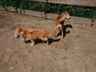 f:id:roukenhome-ann:20190613143259j:plain