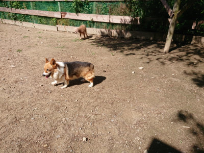f:id:roukenhome-ann:20190613143304j:plain
