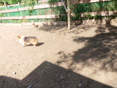 f:id:roukenhome-ann:20190613143407j:plain