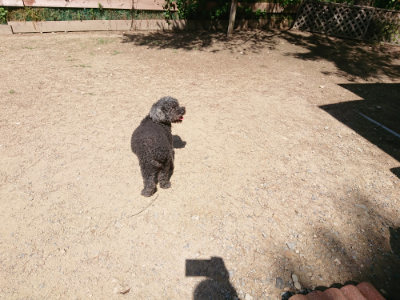 f:id:roukenhome-ann:20190613143432j:plain