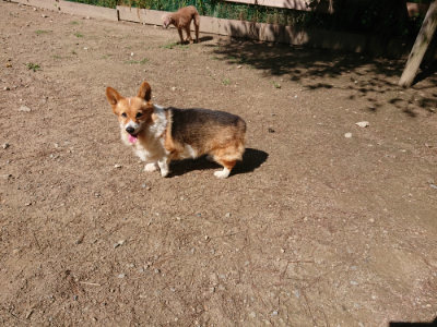 f:id:roukenhome-ann:20190613143443j:plain