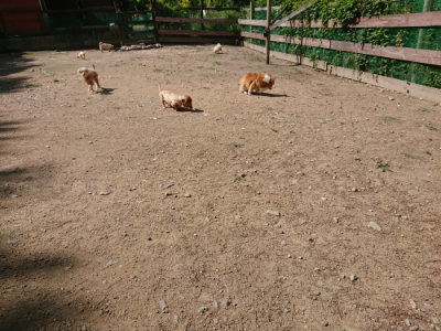 f:id:roukenhome-ann:20190613143456j:plain