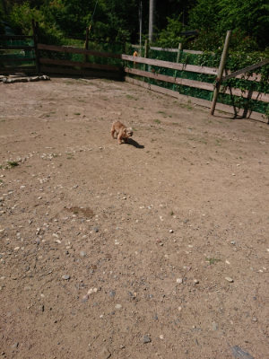 f:id:roukenhome-ann:20190613143510j:plain