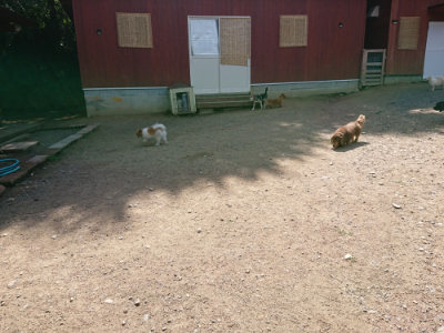 f:id:roukenhome-ann:20190613143628j:plain