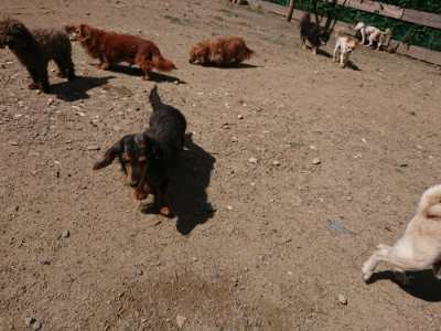 f:id:roukenhome-ann:20190613143640j:plain