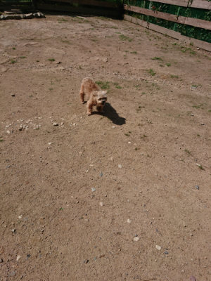 f:id:roukenhome-ann:20190613143659j:plain