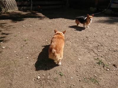 f:id:roukenhome-ann:20190613143705j:plain