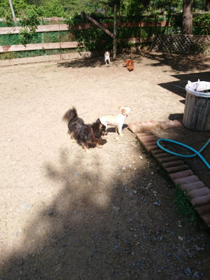 f:id:roukenhome-ann:20190613143715j:plain