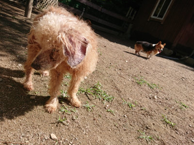 f:id:roukenhome-ann:20190613143720j:plain