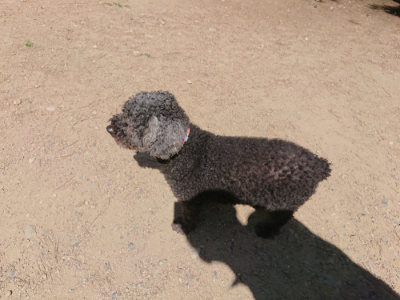 f:id:roukenhome-ann:20190613143730j:plain