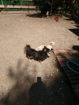 f:id:roukenhome-ann:20190613143735j:plain