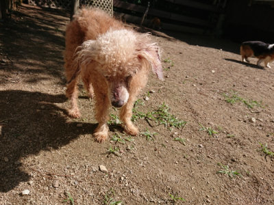 f:id:roukenhome-ann:20190613143740j:plain
