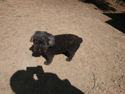 f:id:roukenhome-ann:20190613143750j:plain
