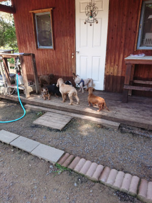 f:id:roukenhome-ann:20190613143754j:plain