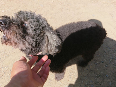 f:id:roukenhome-ann:20190613143808j:plain