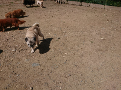 f:id:roukenhome-ann:20190613143846j:plain
