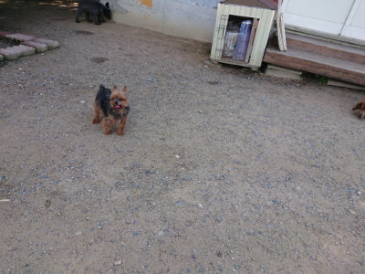 f:id:roukenhome-ann:20190613143905j:plain