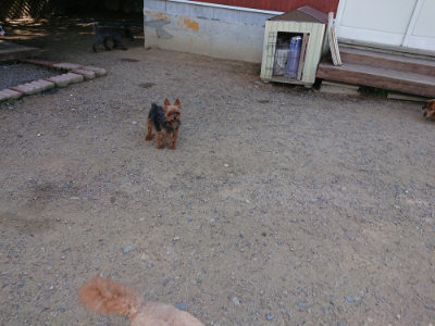 f:id:roukenhome-ann:20190613143919j:plain